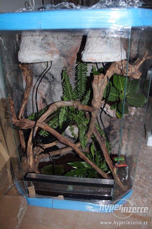 Terárium  vybavené pro chameleony,felsumy,agamy a jiné - foto 9