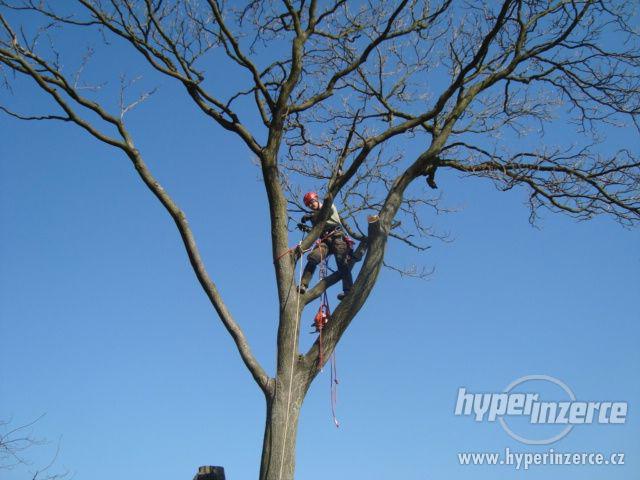 Rizikové kácení stromů - foto 2