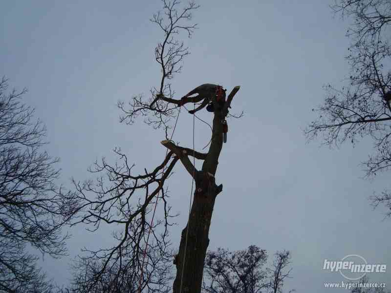 Rizikové kácení stromů - foto 7