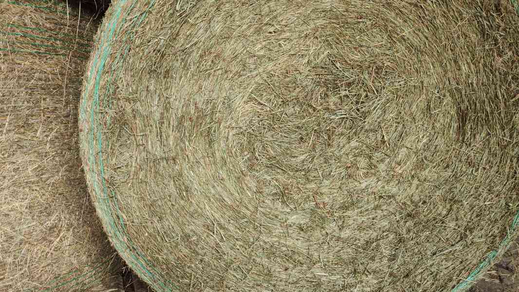 DOVEZEME VÁM BIO SENO NEJVYŠŠÍ KVALITY CERTIFIKOVANÉ SKLADOV - foto 5