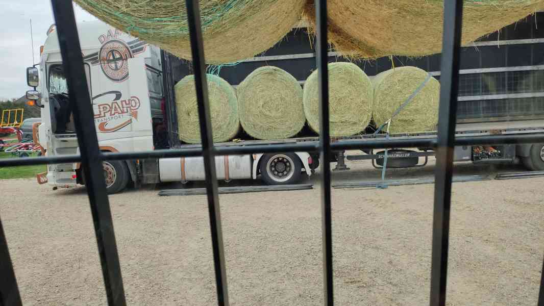 DOVEZEME VÁM BIO SENO NEJVYŠŠÍ KVALITY CERTIFIKOVANÉ SKLADOV - foto 2