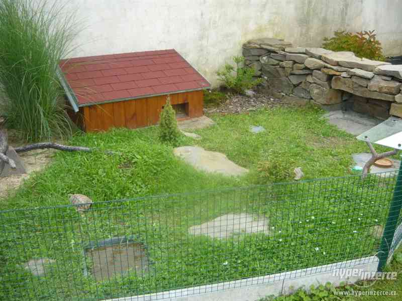 Domov pro suchozemské želvy - foto 5