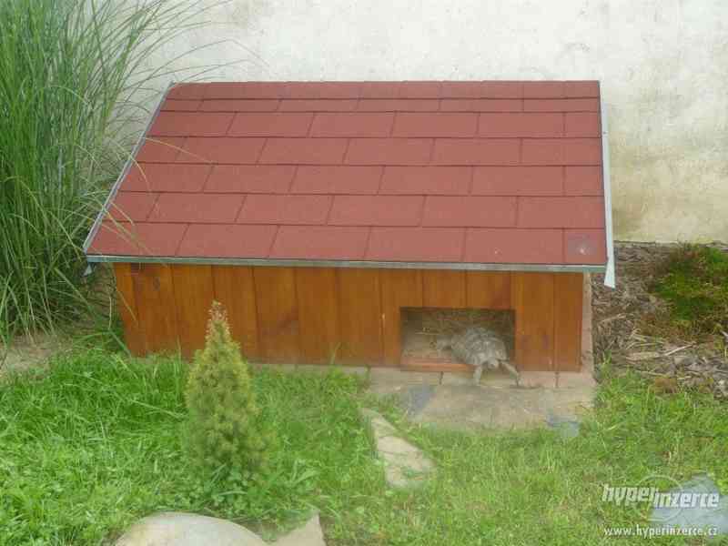 Domov pro suchozemské želvy - foto 6