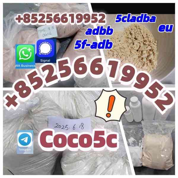 ADB-BUTINACA  5cladba CAS:1185282-27-2 ADBB - foto 2