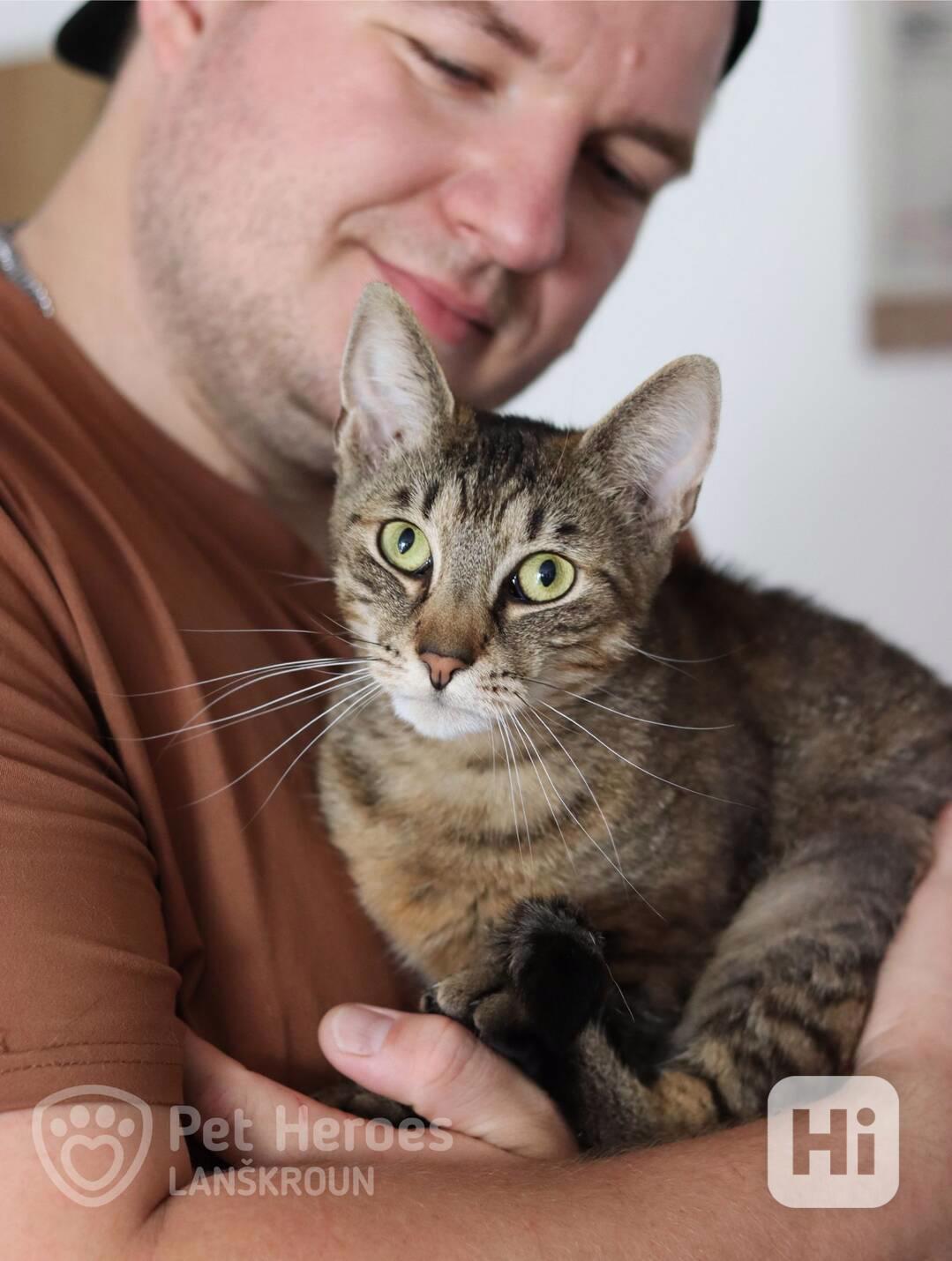 Jinx ❤️podrbej mi bříško❤️ - foto 1
