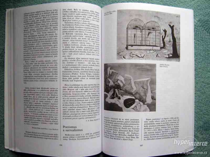 Přehledné dějiny literatury I, II, III - foto 10
