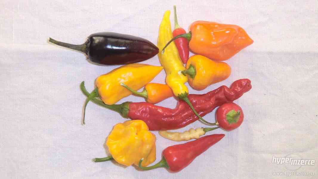 Chilli papričky čerstvé - foto 2