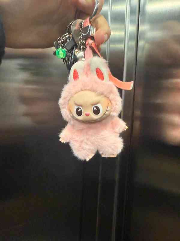 Labubu – Pin for Love (A–M)  - foto 5