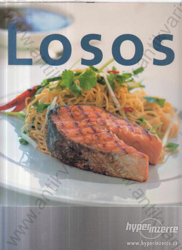 Losos (slovensky) Ottovo nakladatelství 2004 - foto 1