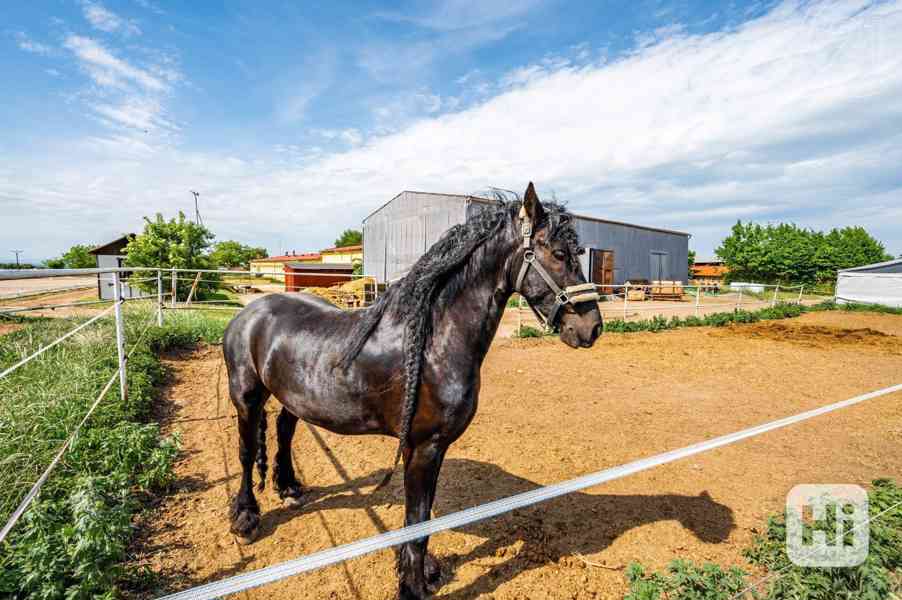 Rodinný dům 139 m2 s bazénem a zahradou - foto 19