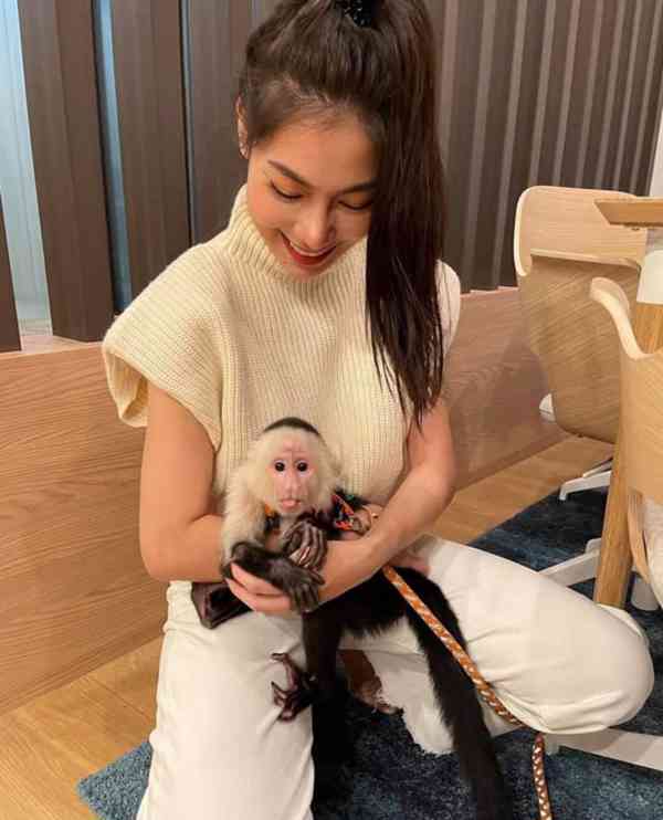 Zdarma Dítě kapucínské opice k adopci nyní zdarma   - foto 2