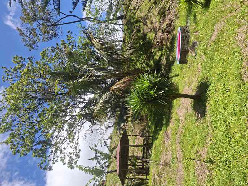 Prodej domu s pozemky Kostarika - foto 7