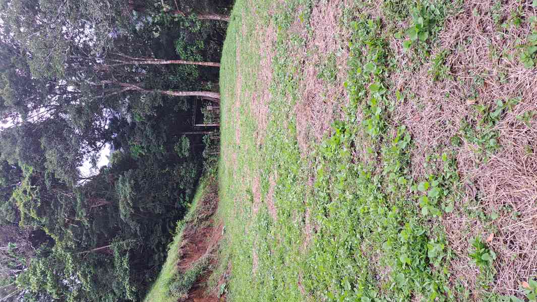 Prodej domu s pozemky Kostarika - foto 9