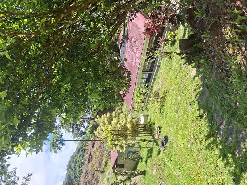 Prodej domu s pozemky Kostarika - foto 6