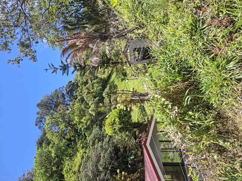 Prodej domu s pozemky Kostarika - foto 3