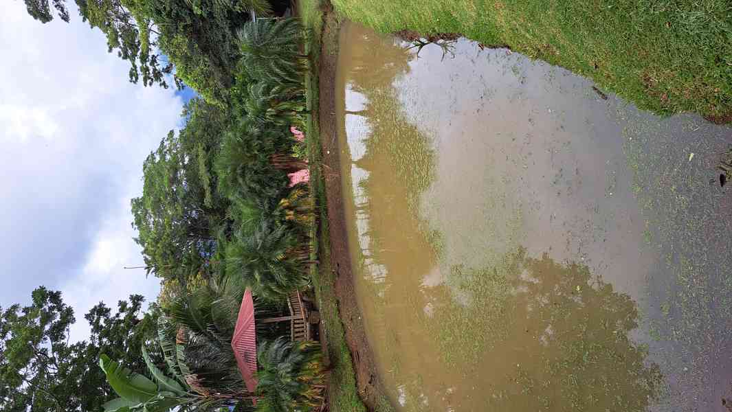 Prodej domu s pozemky Kostarika - foto 11