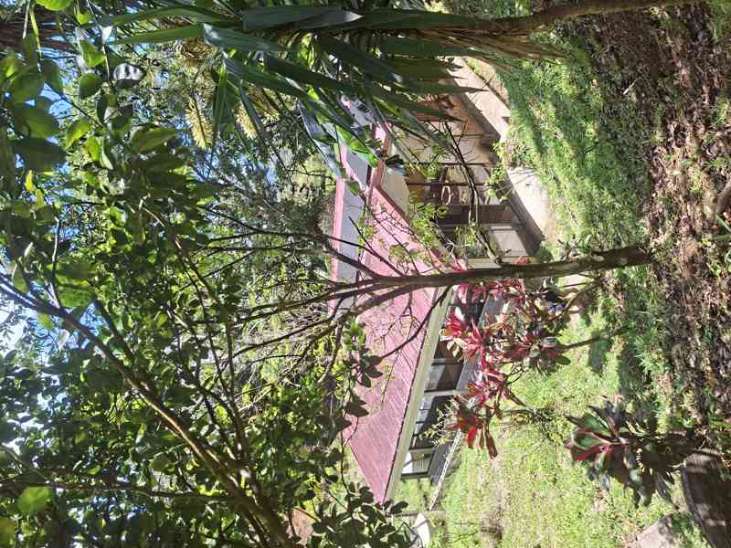 Prodej domu s pozemky Kostarika - foto 5