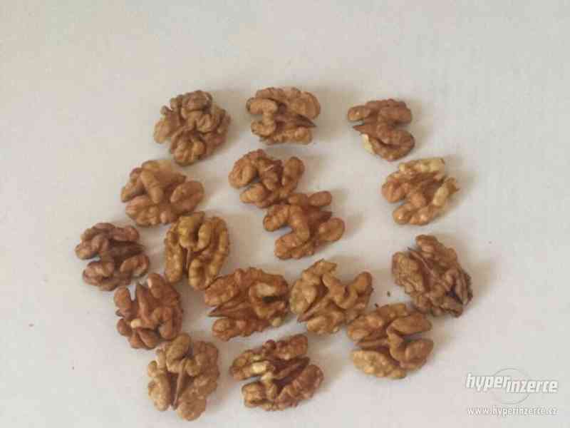 Jádro ořechů velkoobchod - foto 6