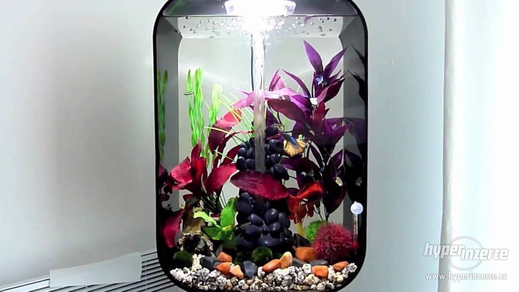 aquarium BIOrb 60L - foto 3