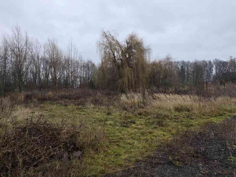 Prodej vodní elektrárny 36 m², Sobčice - foto 14