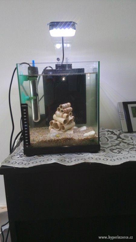 nano akvarium - foto 1