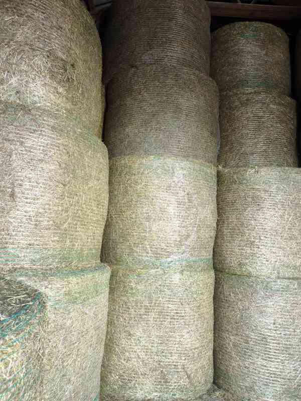 KVALITNÍ CERTIFIKOVANÉ BIO SENO SKLADOVANÉ S DOPRAVOU