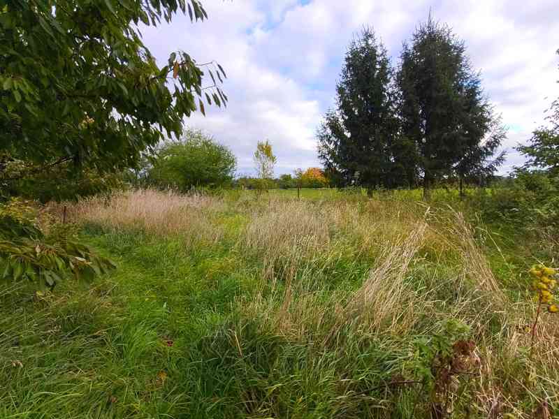 Střeziměřice - rodinný dům 3+1 s pozemkem 2066 m2 - foto 8