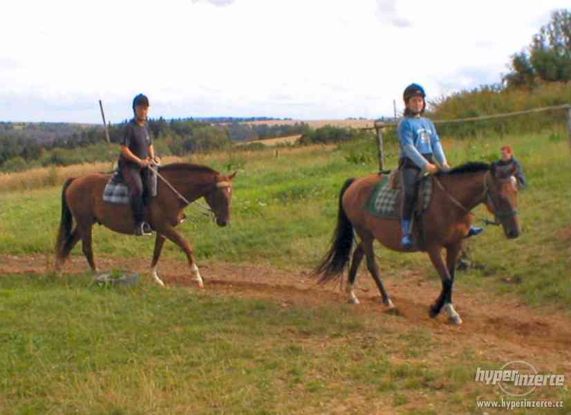 Letní prázdniny na Biofarmě - tábor s výukou jízdy na koni