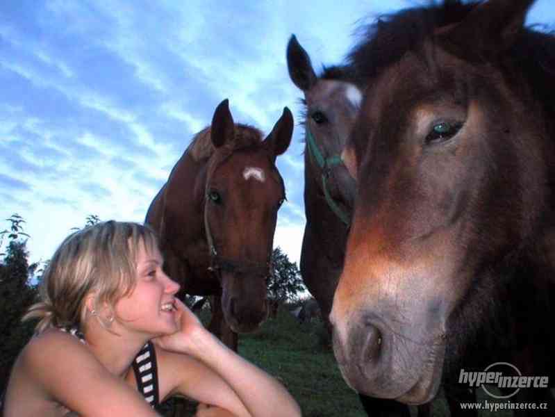 Letní prázdniny na Biofarmě - tábor s výukou jízdy na koni - foto 2