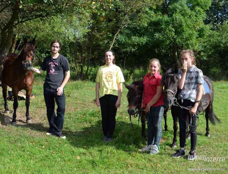 Letní prázdniny na Biofarmě - tábor s výukou jízdy na koni - foto 3