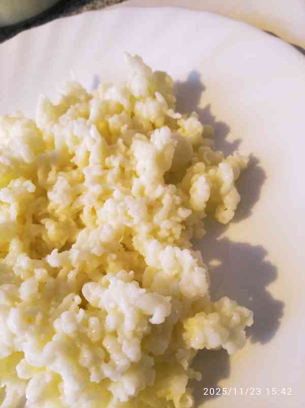 Kefírová zrna - houba - foto 3