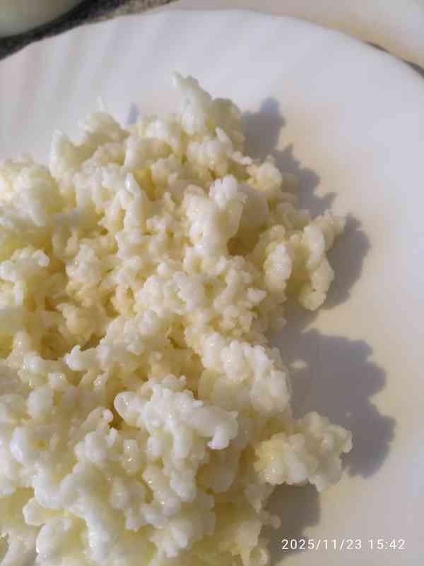 Kefírová zrna - houba - foto 2