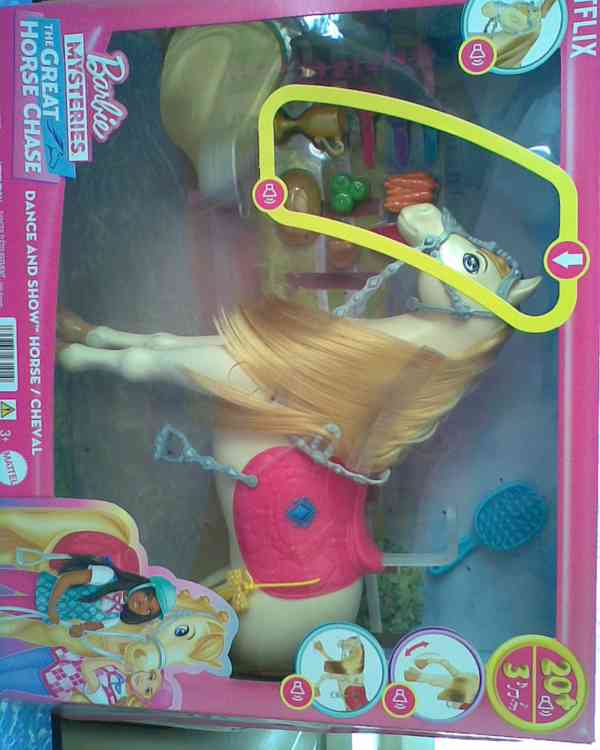 Nový koník se stájí a Barbie - foto 2