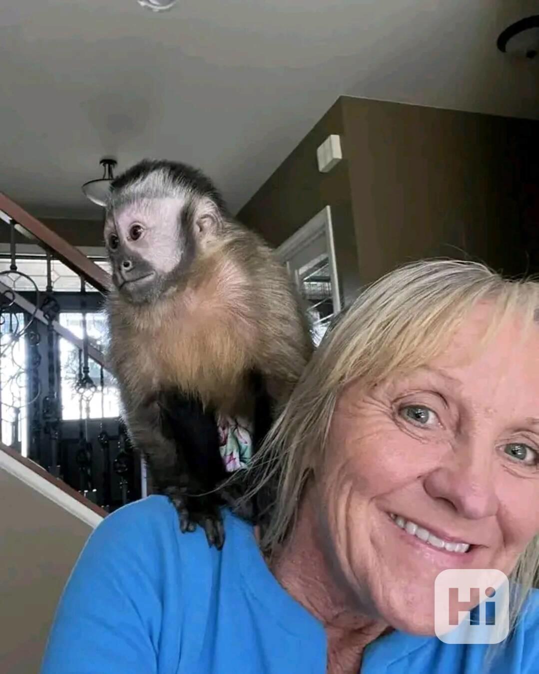  Kapucínští herci, kteří vás rozesmějí - foto 1