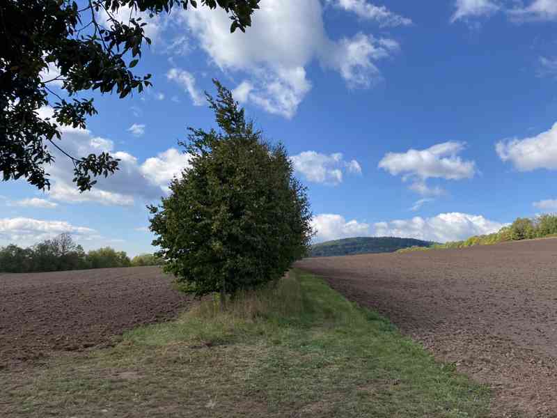 Lesní pozemek a pozemky ostatní plochy Horní Lánov - foto 7