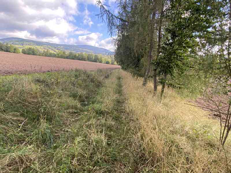Lesní pozemek a pozemky ostatní plochy Horní Lánov - foto 9