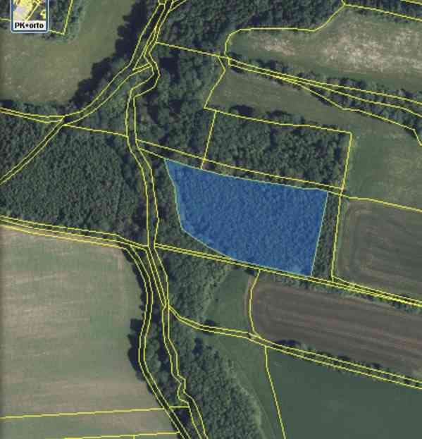 Lesní pozemek a pozemky ostatní plochy Horní Lánov - foto 10