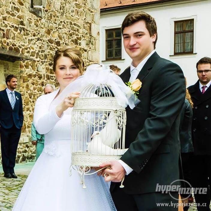 Svatební holubi - foto 1