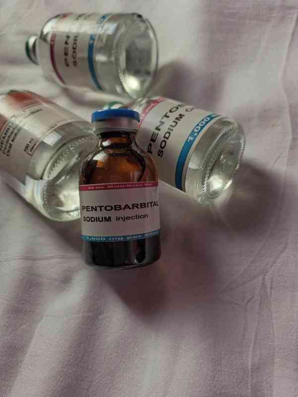 NEMBUTAL 250ml,DIAZEPAM,HYPNOGEN 10mg a dalsi na prodej - foto 2