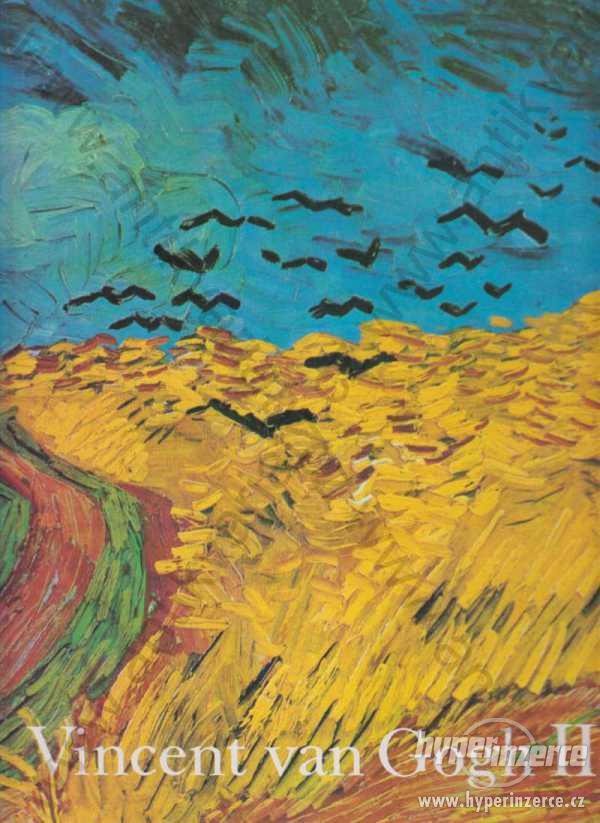 Vincent van Gogh II Paolo Lecaldano - foto 1