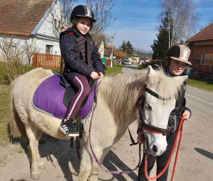 Koňský příměstský tábor pro děti.S koňmi a poníky. - foto 5