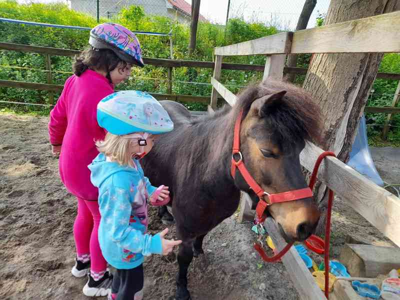 Koňský příměstský tábor pro děti.S koňmi a poníky. - foto 2