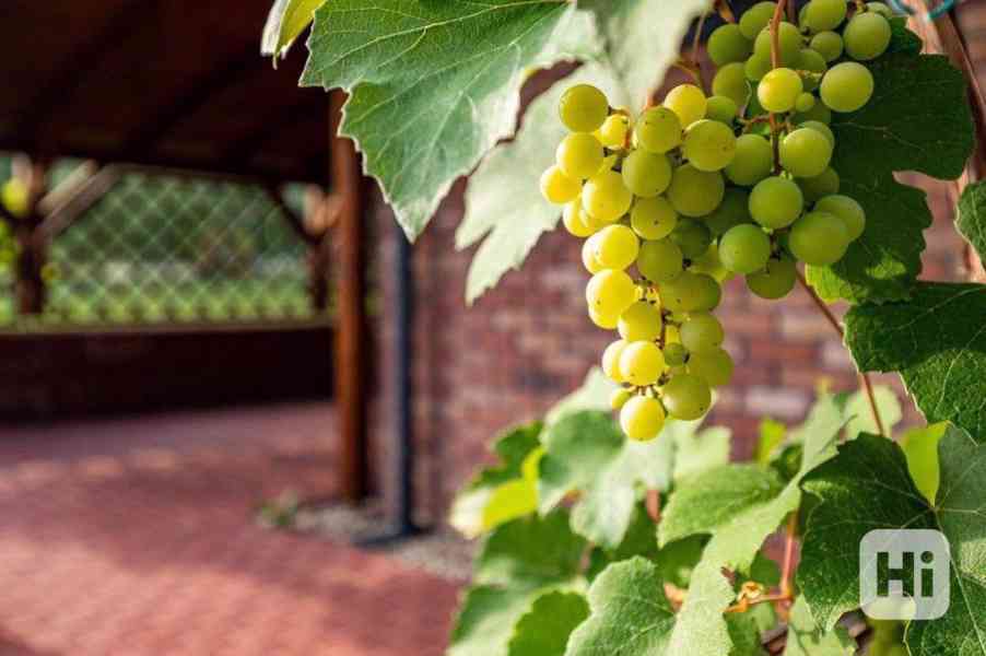 Prodej rodinného domu, bazén, pergola, Praha západ - foto 4