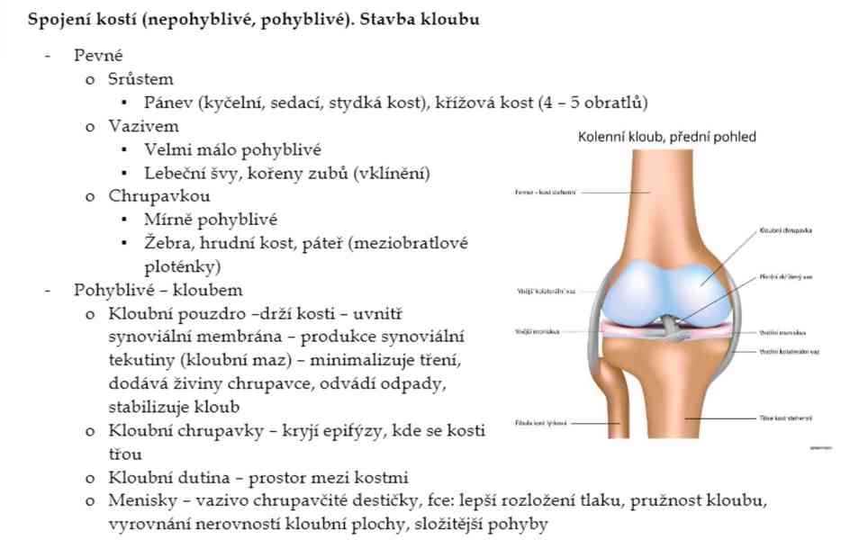 Materiály k maturitě - čeština, angličtina, biologie - foto 4