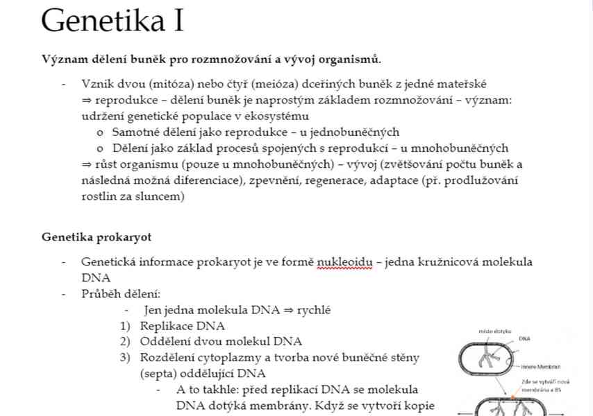 Materiály k maturitě - čeština, angličtina, biologie - foto 3