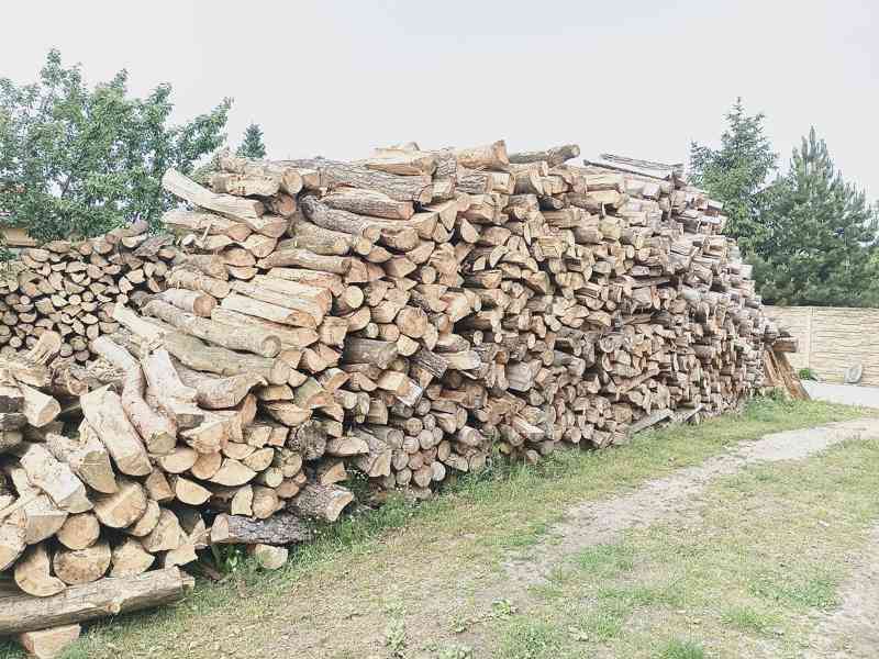 SUCHÉ ŠTÍPANÉ palivové dřevo  - foto 5