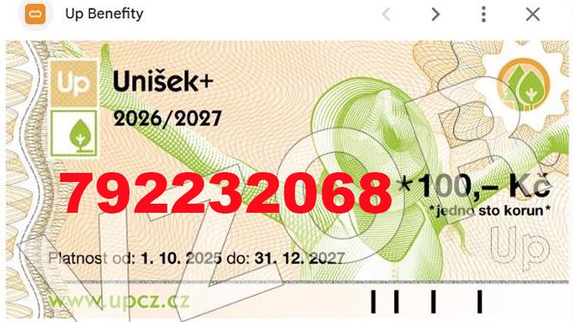 ČR - HOTOVOST za kredit z benefitních karet a poukázek   - foto 18