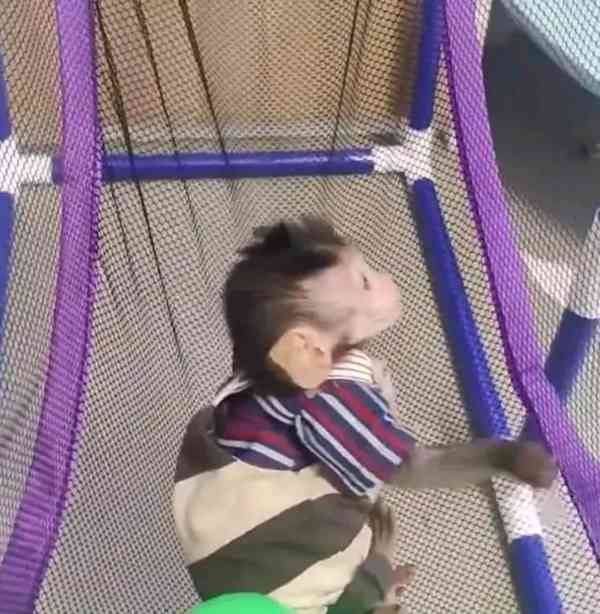  Super jemné kapucínky