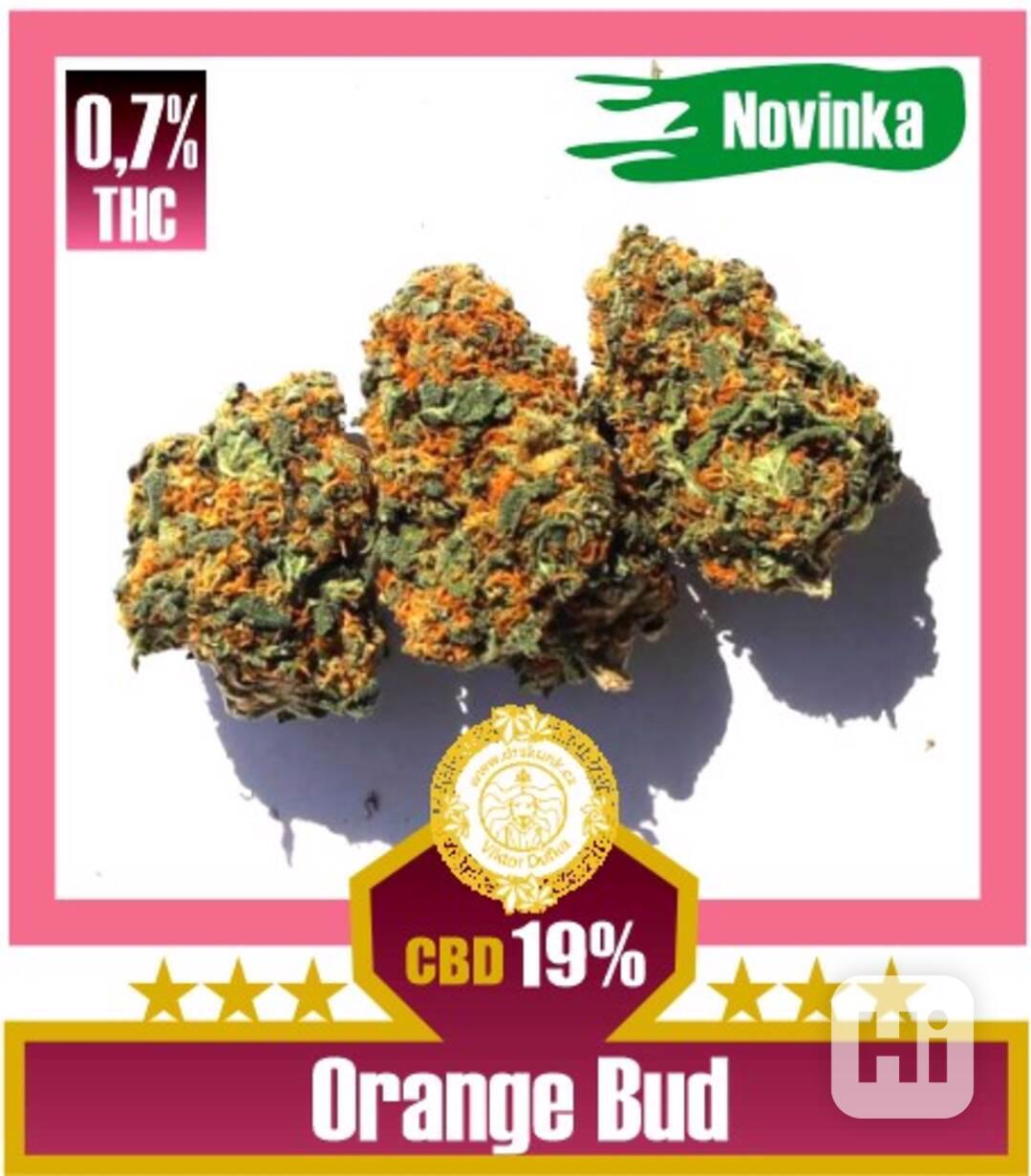 CBD květy Orange Bud CBD 19% na drskunk.cz - foto 1
