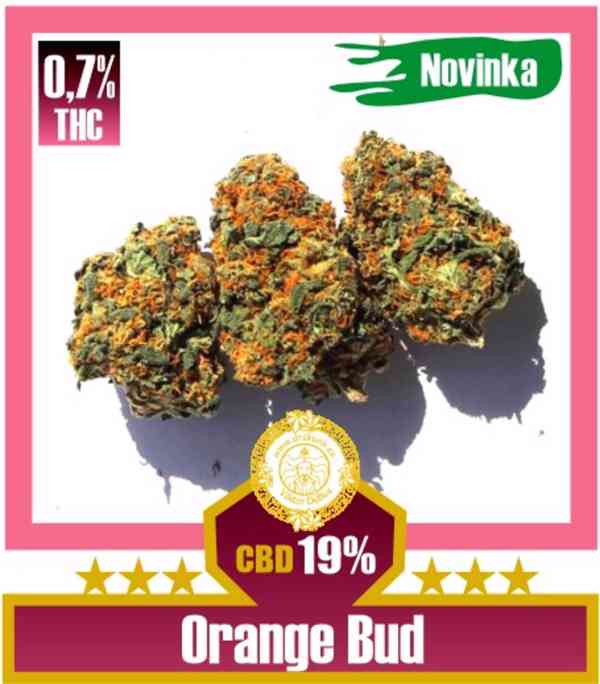 CBD květy Orange Bud CBD 19% na drskunk.cz - foto 1